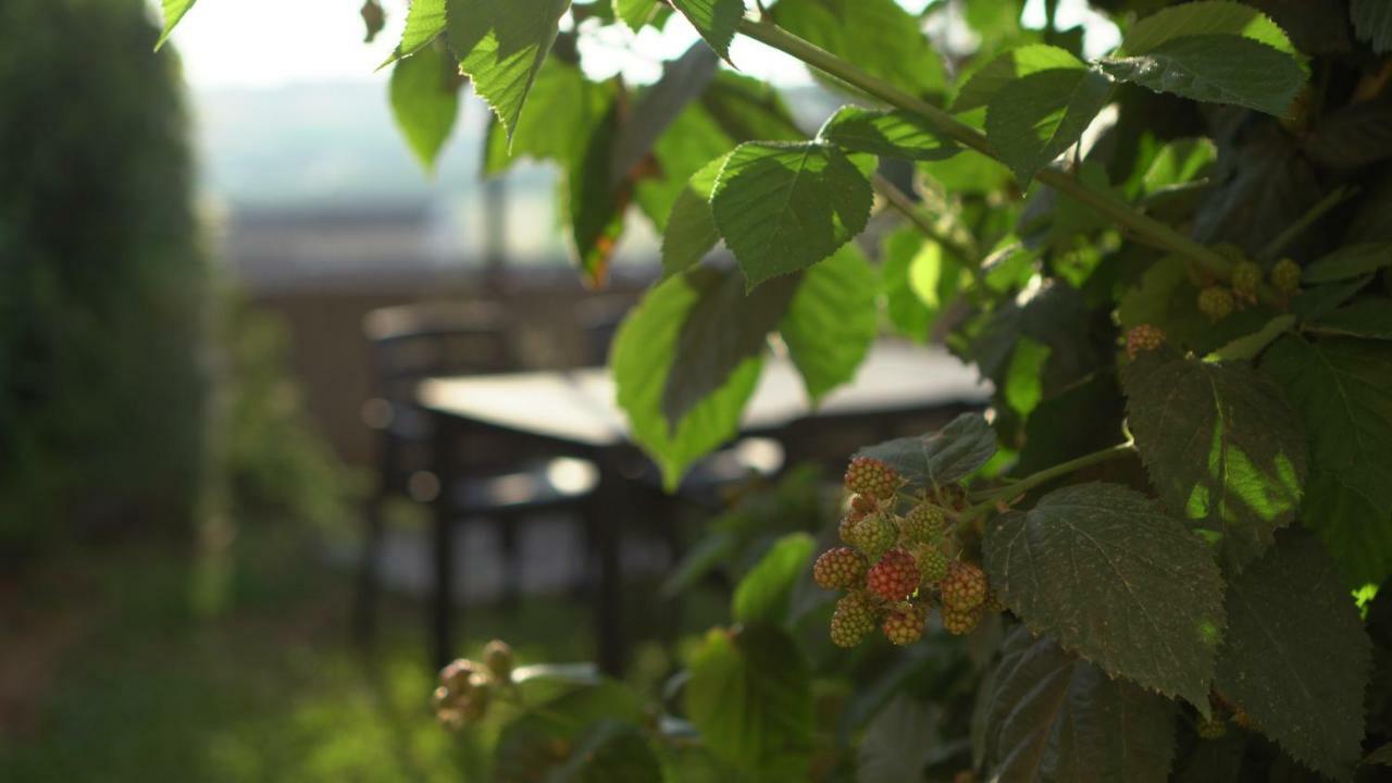 La Villetta Di Andre แตร์โมลิ ภายนอก รูปภาพ